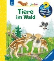 Wieso? Weshalb? Warum? junior, Band 77 - Tiere im Wald 1