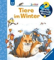Andrea Erne - Wieso? Weshalb? Warum? junior, Band 31 - Tiere im Winter, Häftad