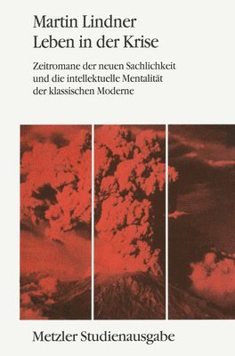 Martin Lindner - Leben in der Kriese, Häftad