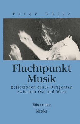 bokomslag Fluchtpunkt Musik