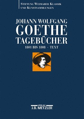 bokomslag Johann Wolfgang Goethe: Tagebcher