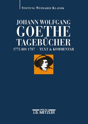 bokomslag Johann Wolfgang Goethe: Tagebcher