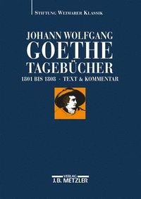 bokomslag Johann Wolfgang Goethe: Tagebcher