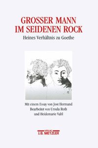 bokomslag Großer Mann im seidenen Rock