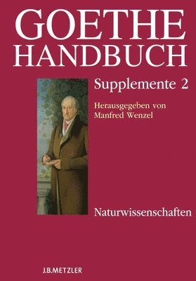 bokomslag Goethe-Handbuch Supplemente