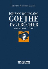 bokomslag Johann Wolfgang Goethe: Tagebücher