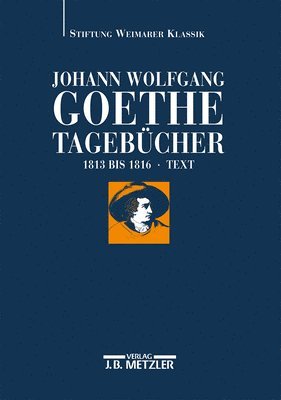 bokomslag Johann Wolfgang Goethe: Tagebcher