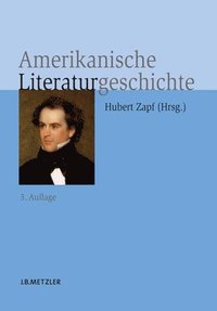 bokomslag Amerikanische Literaturgeschichte
