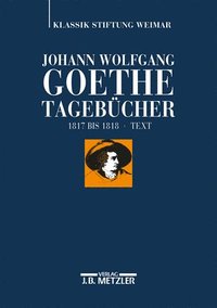bokomslag Johann Wolfgang Goethe: Tagebücher