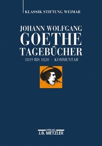 bokomslag Johann Wolfgang Goethe: Tagebücher