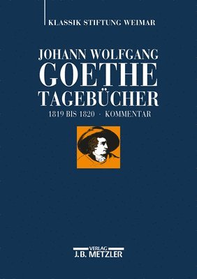 bokomslag Johann Wolfgang Goethe: Tagebcher