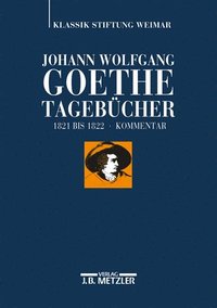 bokomslag Johann Wolfgang Goethe: Tagebcher