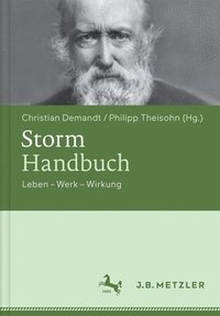 bokomslag Storm-Handbuch