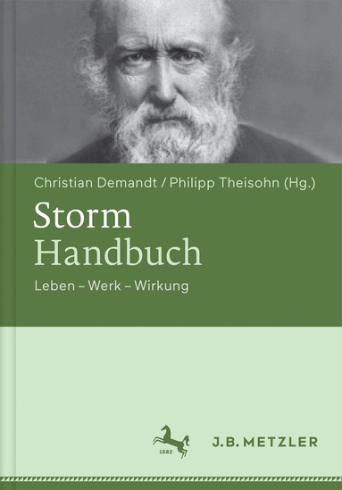 Christian Demandt, Philipp Theisohn - Storm-Handbuch, Inbunden