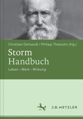 Storm-Handbuch 1