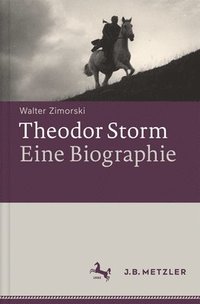 bokomslag Theodor Storm  Biographie