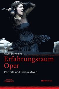 bokomslag Erfahrungsraum Oper