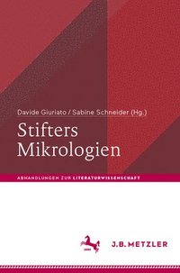 bokomslag Stifters Mikrologien