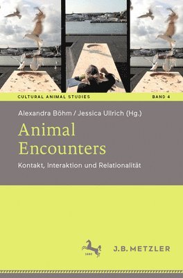 Alexandra Böhm, Jessica Ullrich - Animal Encounters, Häftad