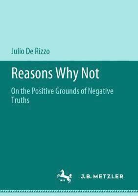 bokomslag Reasons Why Not