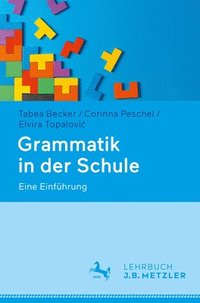 bokomslag Grammatik in der Schule