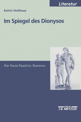 bokomslag Im Spiegel des Dionysos