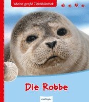 bokomslag Tracqui, V: Robbe