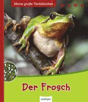 bokomslag Der Frosch