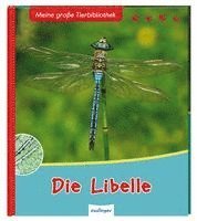 bokomslag Meine große Tierbibliothek: Die Libelle