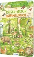 bokomslag Das Riesen-Natur-Wimmelbuch