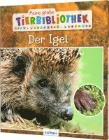 bokomslag Meine große Tierbibliothek: Der Igel