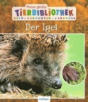 Valérie Tracqui - Meine große Tierbibliothek: Der Igel, Inbunden
