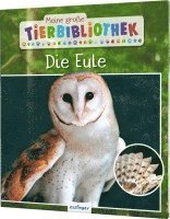 bokomslag Meine große Tierbibliothek: Die Eule