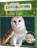 Jens Poschadel - Meine große Tierbibliothek: Die Eule, Inbunden