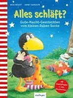 bokomslag Der kleine Rabe Socke: Alles schläft?