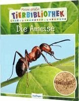 Axel Gutjahr - Meine große Tierbibliothek: Die Ameise, Inbunden