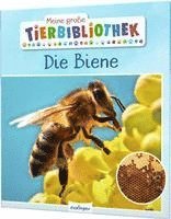 bokomslag Meine große Tierbibliothek: Die Biene