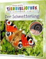 Valérie Tracqui - Meine große Tierbibliothek: Der Schmetterling, Inbunden