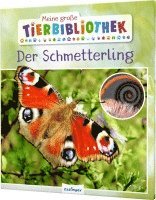 bokomslag Meine große Tierbibliothek: Der Schmetterling