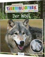 bokomslag Meine große Tierbibliothek: Der Wolf