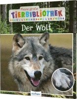 Meine große Tierbibliothek: Der Wolf 1
