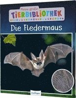 bokomslag Meine große Tierbibliothek: Die Fledermaus