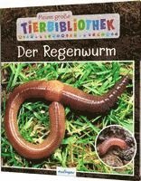 bokomslag Meine große Tierbibliothek: Der Regenwurm