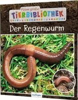 Valérie Tracqui - Meine große Tierbibliothek: Der Regenwurm, Inbunden