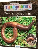Valérie Tracqui - Meine große Tierbibliothek: Der Regenwurm, Inbunden