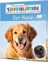 Valérie Tracqui - Meine große Tierbibliothek: Der Hund, Inbunden