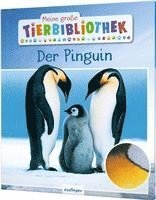 bokomslag Meine große Tierbibliothek: Der Pinguin