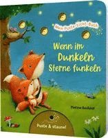 bokomslag Mein Puste-Licht-Buch: Wenn im Dunkeln Sterne funkeln