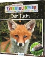 bokomslag Meine große Tierbibliothek: Der Fuchs