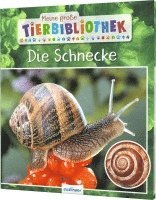 bokomslag Meine große Tierbibliothek: Die Schnecke